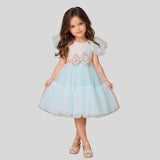 Puff Sleeves And Ruffle Hem Fancy Dress