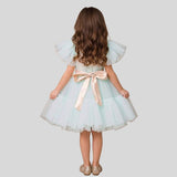 Puff Sleeves And Ruffle Hem Fancy Dress