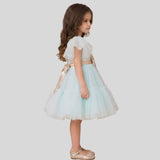 Puff Sleeves And Ruffle Hem Fancy Dress