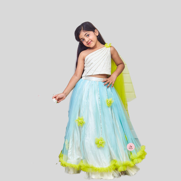Dreamy Cinderella Ghaghra choli with Silver lines embellishments and  green flowers and frills
