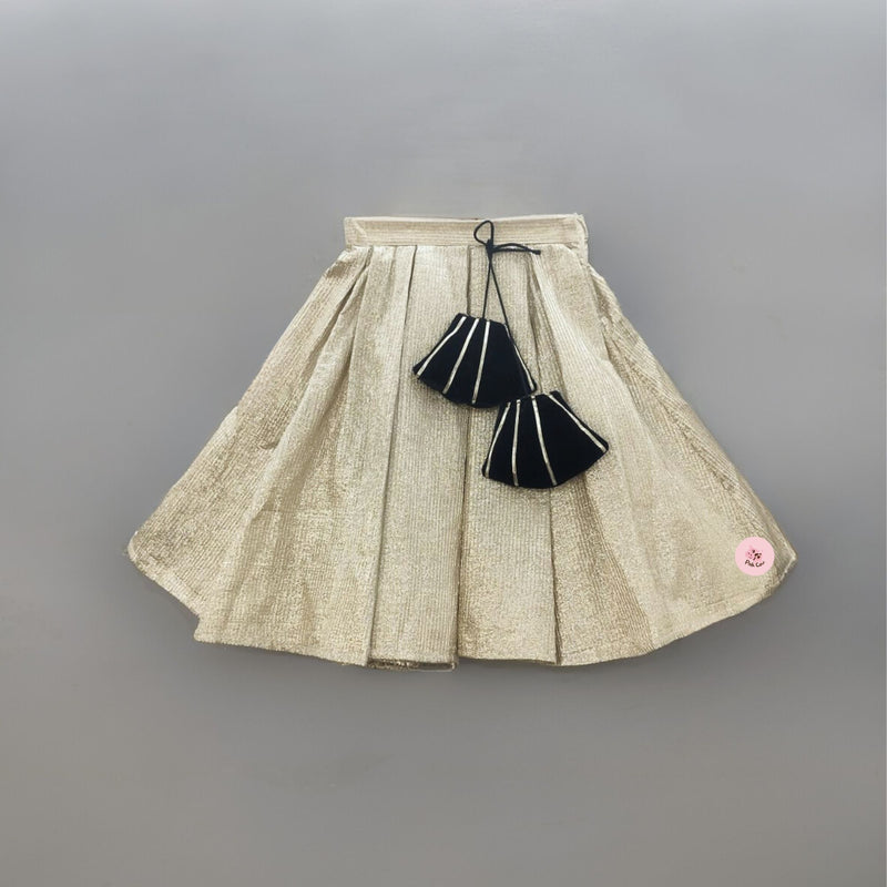 Heavily embellished Lehenga Skirt with velvet top – Aayushi Pathania Jaipur