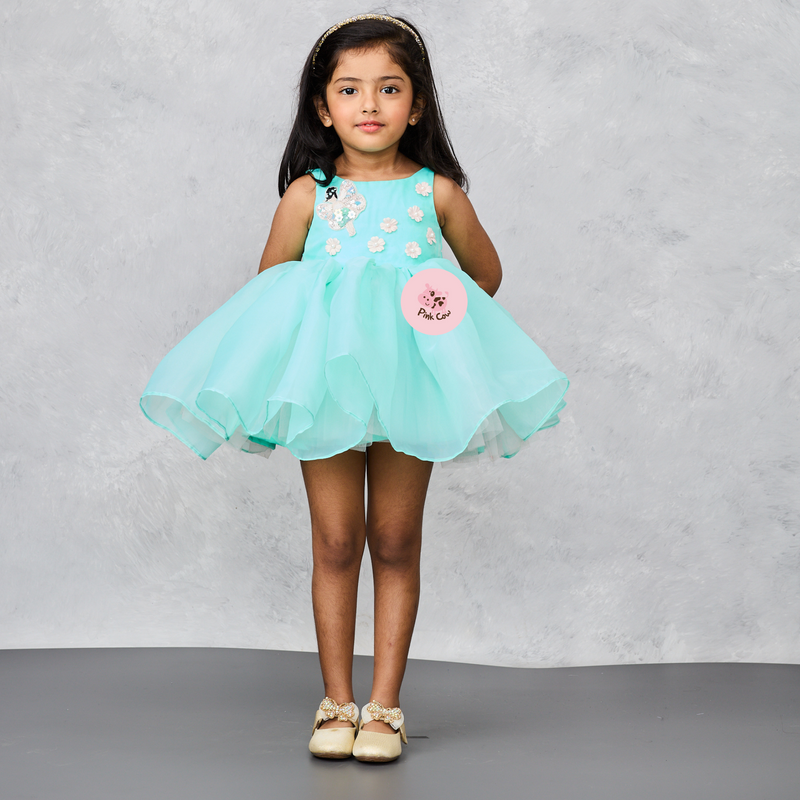 Elegant Organza Dress with Flower Embellishments