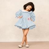 Elegant Sky Blue Velvet Full Sleeves Dress for Special Occasions