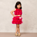 Fluffy Pink Net Ruffle Skirt with Matching Top