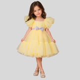 Puff Sleeves And Ruffle Hem Fancy Dress