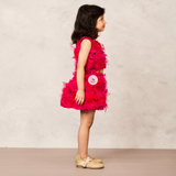 Fluffy Pink Net Ruffle Skirt with Matching Top