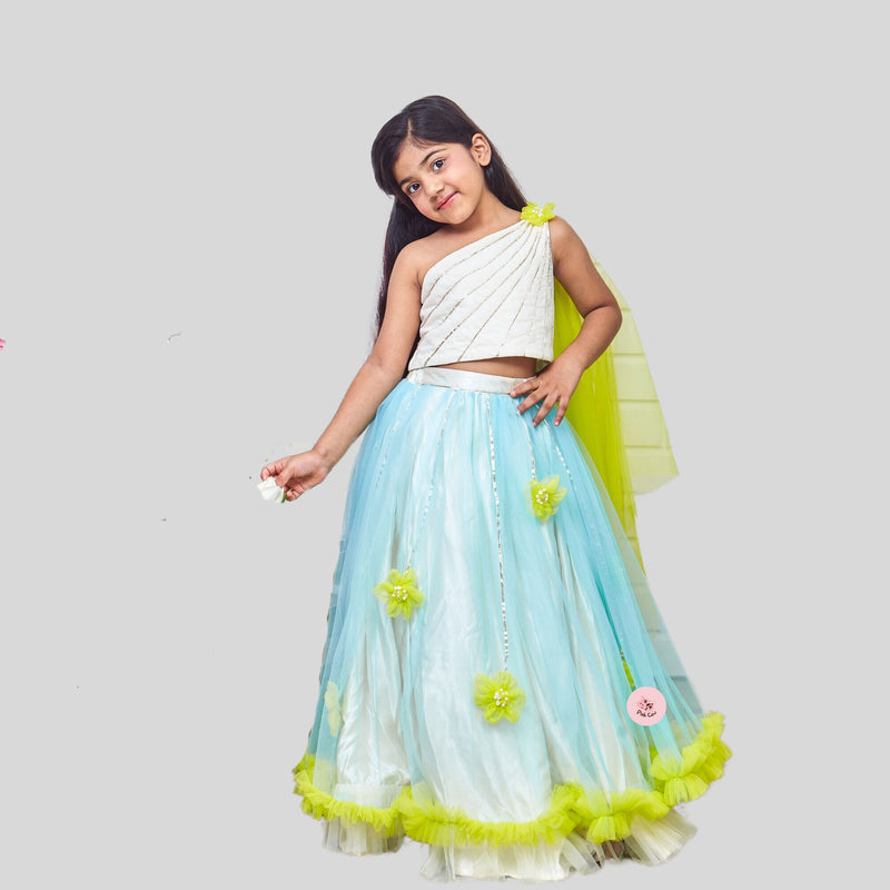 Dreamy Cinderella Ghaghra choli with Silver lines embellishments and  green flowers and frills