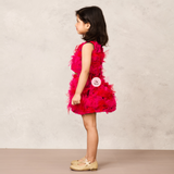 Fluffy Pink Net Ruffle Skirt with Matching Top