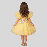 Puff Sleeves And Ruffle Hem Fancy Dress