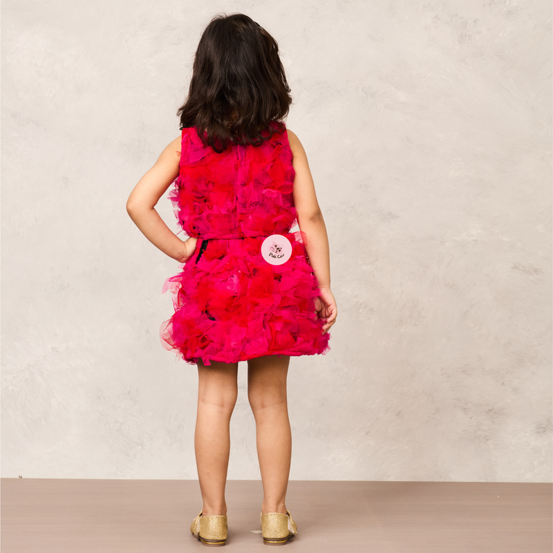 Fluffy Pink Net Ruffle Skirt with Matching Top