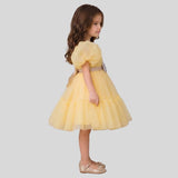 Puff Sleeves And Ruffle Hem Fancy Dress