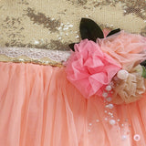 Peach Gown with Gold Sequence on Chest