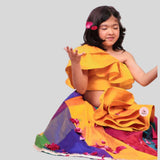 Multicoloured Ghaghra choli