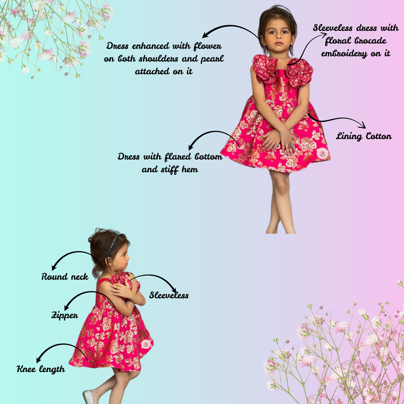 Floral Brocade Embroidered Pink Dress
