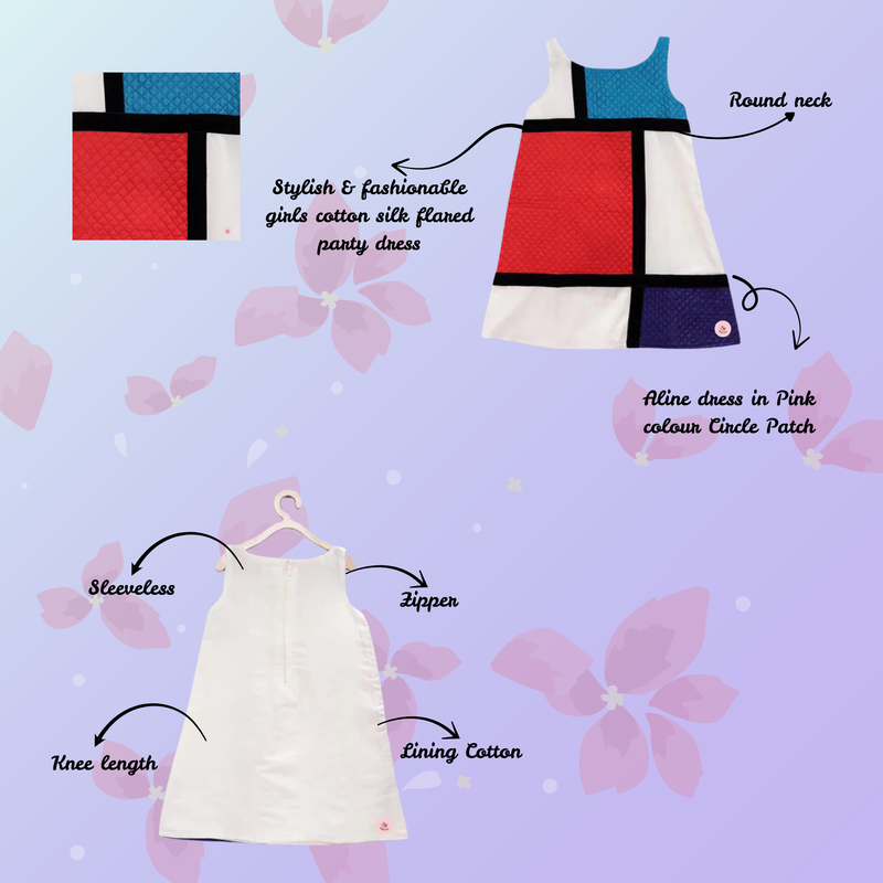 Aline Colour block Dress