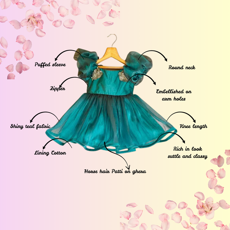 Teal colour classic organza dress