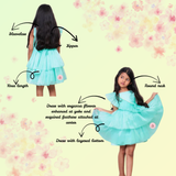 Organza Flower Embellished Green Dress