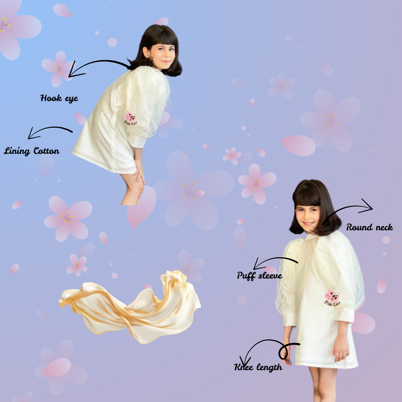 Ruffled sleeves straight dress