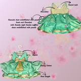 Brocade chanderi dress