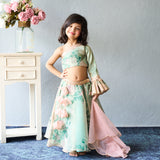 Charming mint green floral ghaghara choli