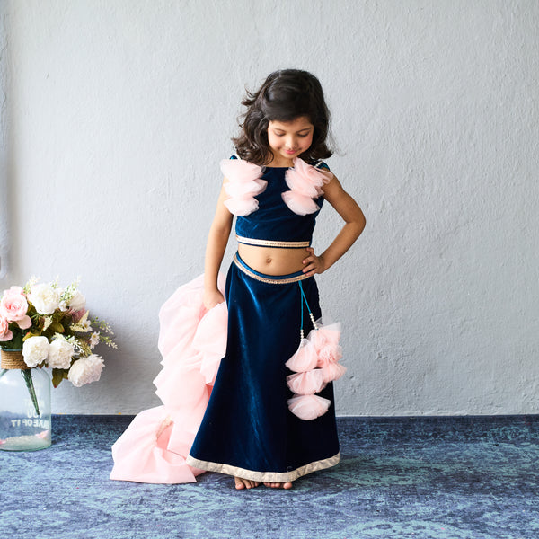 Elegant navy and blush lehenga set