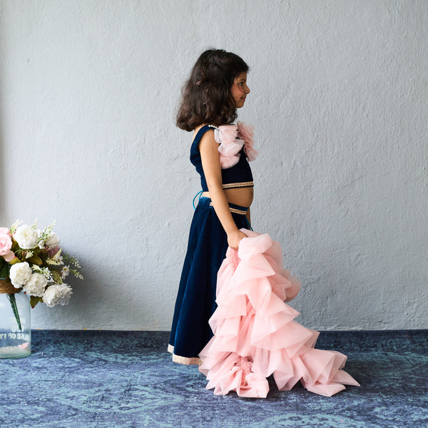 Elegant navy and blush lehenga set