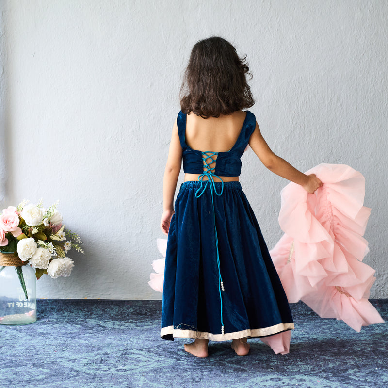 Elegant navy and blush lehenga set