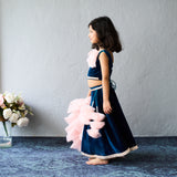 Elegant navy and blush lehenga set
