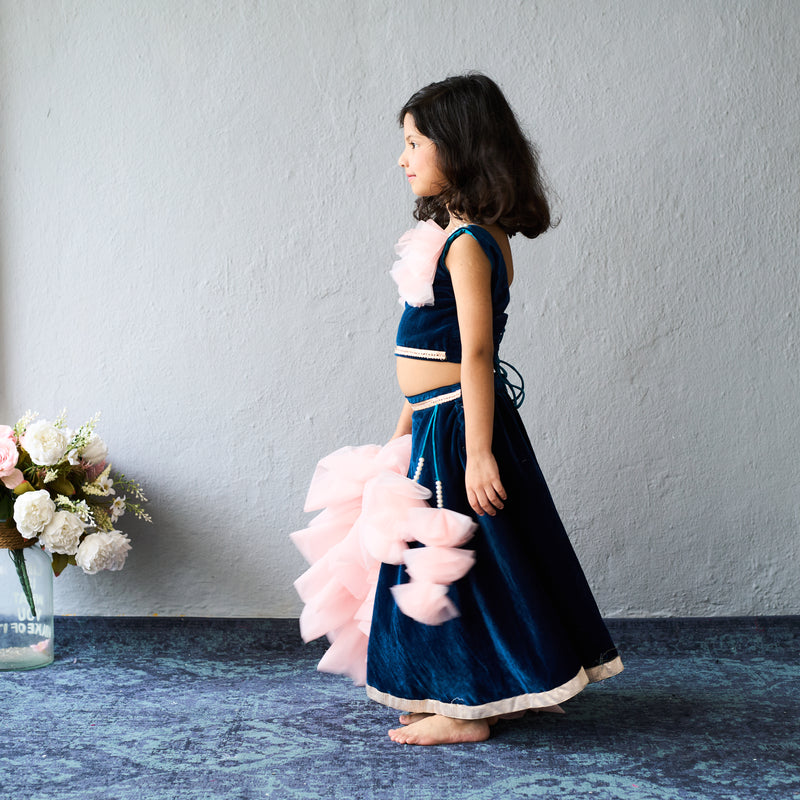 Elegant navy and blush lehenga set