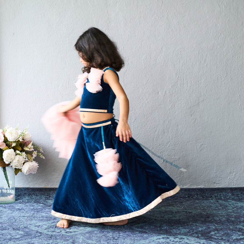 Elegant navy and blush lehenga set