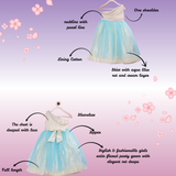 Dreamy Cindrella gown