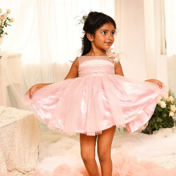 OLD ROSE SHIMMIR DRESS WITH OLD ROSE NET