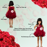Maroon Velvet & Net Dress with Dazzling Red Sequin Embellishments