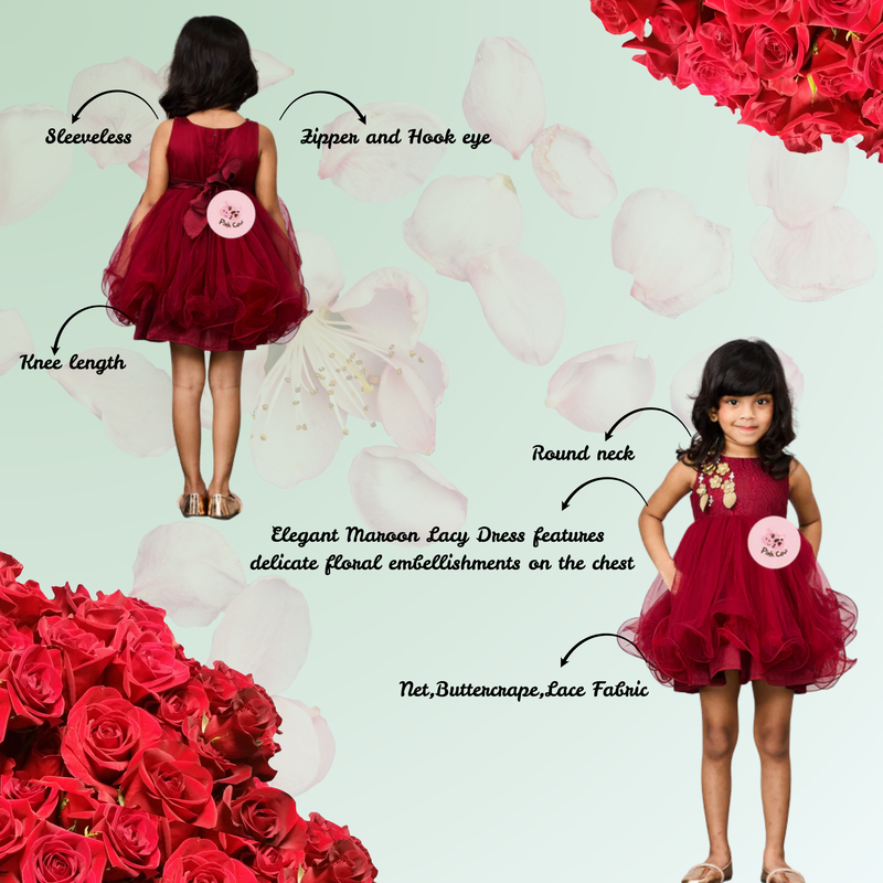 Maroon Lacy Dress with Floral Embellishments on Chest