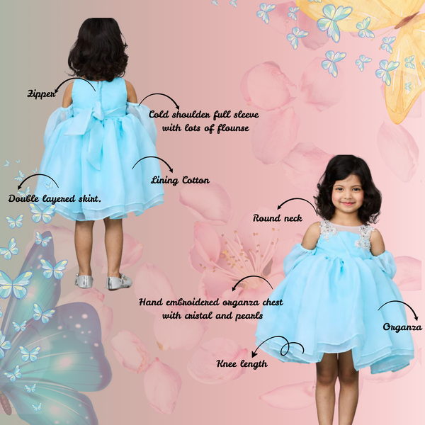 Hand embroidered cindrella inspired dress