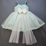 LIGHT BLUE SHIMMER NET WITH BIG FLOWER DRESS