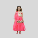 Pooka Pals Pink ghaghra choli