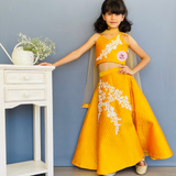 Elegant Yellow Taffeta Lehenga Choli with Intricate White Lace Embroidery