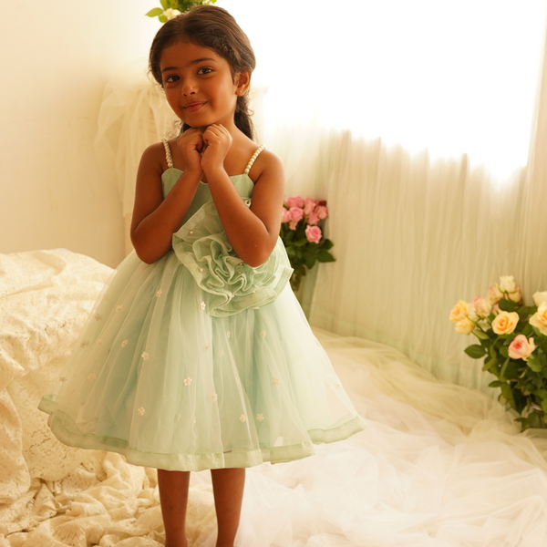 LIGHT BLUE SHIMMER NET WITH BIG FLOWER DRESS