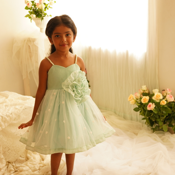 LIGHT BLUE SHIMMER NET WITH BIG FLOWER DRESS