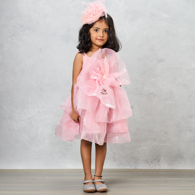 Organza Flower Embellished Yoke Peach Dress