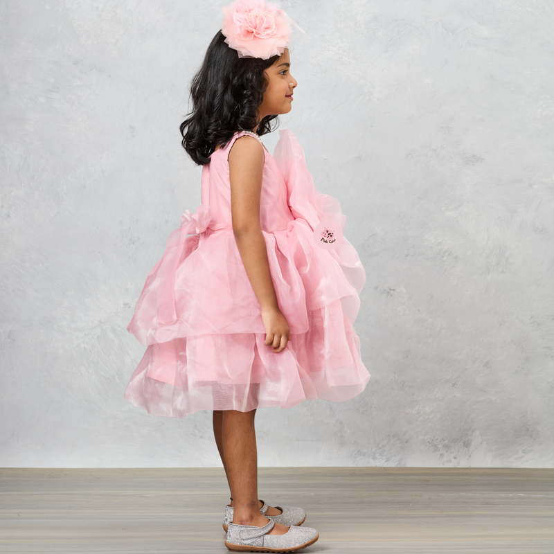 Organza Flower Embellished Yoke Peach Dress