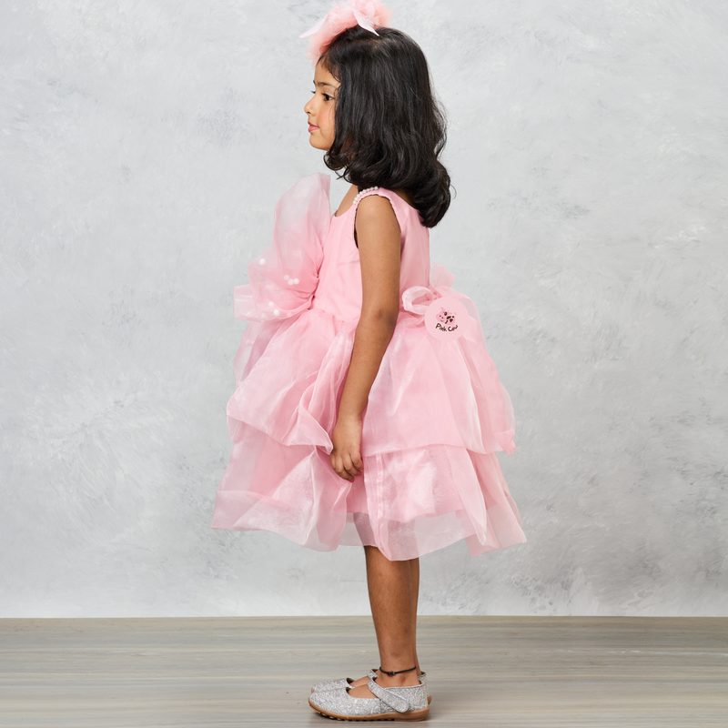 Organza Flower Embellished Yoke Peach Dress