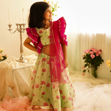 PINK TAFETA FRILL WITH LOTUS CHANDERI