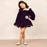 Elegant Purple Velvet Full Sleeves Dress for Special Occasions
