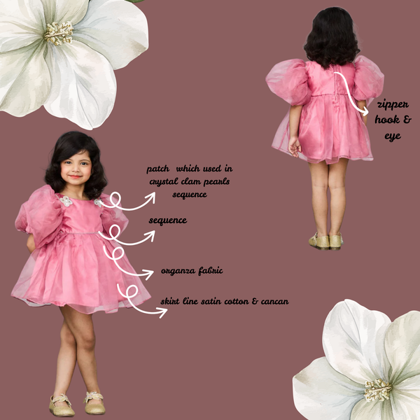 Stylish Pink Organza Dress